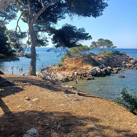 Flat With Terrace In Apartment Sanary-sur-Mer